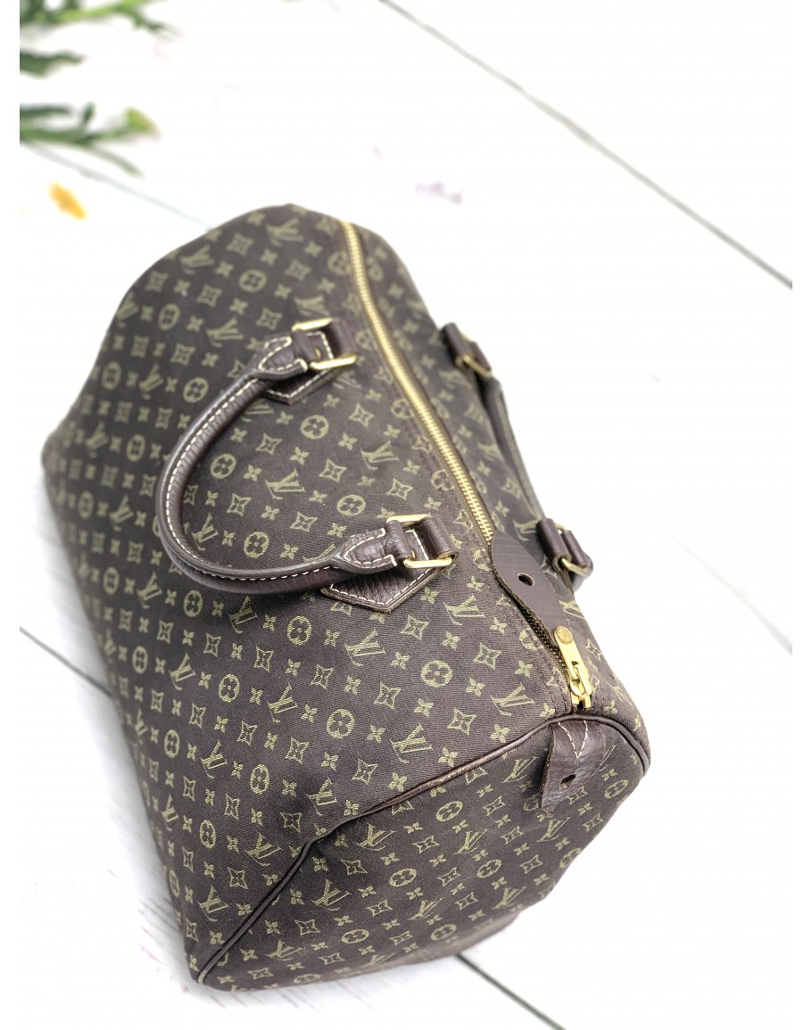 Louis Vuitton Speedy Bag, Authenticity Guaranteed